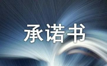 软件售后服务承诺书8篇