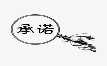 工程保修承诺书模板8篇
