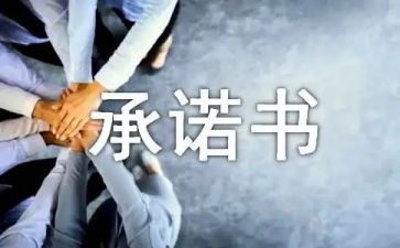 离职证明承诺书模板6篇