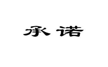 厂家售后服务承诺书6篇