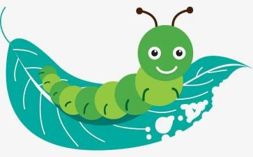 毛毛虫小班教案模板6篇
