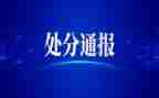 处分的撤销申请书通用5篇