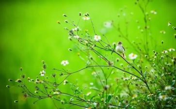春节大促销活动总结6篇