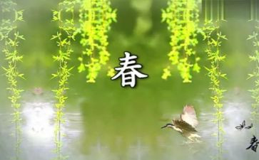 作文我在春天里____600字6篇