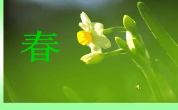 2024小班春季学期教学总结7篇