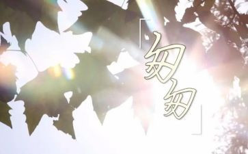 匆匆优秀教案8篇