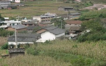 村培训工作总结优质8篇