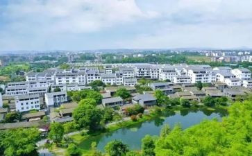 村助理年度总结8篇