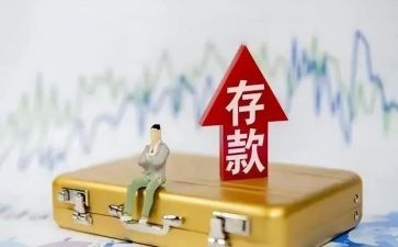 2024存款保险宣传总结8篇