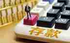 2024年存款保险宣传总结8篇