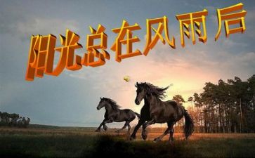 挫折成长类作文5篇