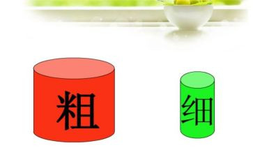 比较粗细中班教案5篇
