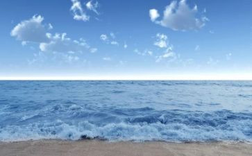 《大海》读后感7篇