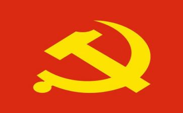 党个人总结报告参考6篇