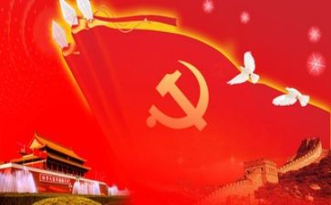 党个人年度总结参考6篇