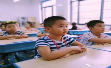 导师制工作总结8篇