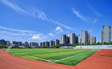 大学优秀作文6篇