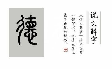 幼儿园教师违反职业道德心得体会5篇