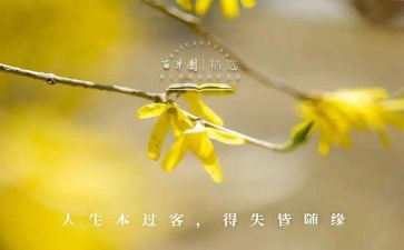 网课中的得与失作文模板5篇
