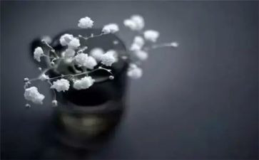 我在学校的得与失作文400字优质8篇