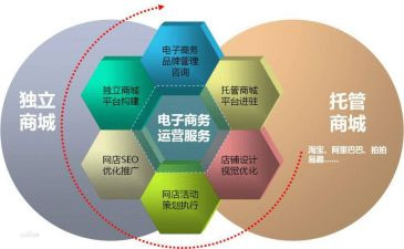 电商辞职报告6篇
