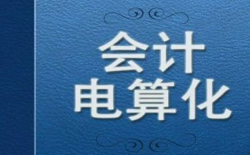 电算会计的心得体会6篇