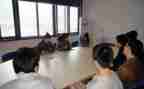 顶岗工作总结精选5篇