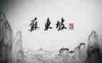 苏东坡传的读书心得5篇