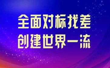 个人对标心得体会优秀5篇