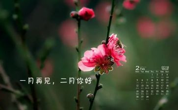 十二月中班工作总结5篇