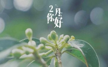十二月小班工作计划8篇