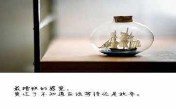 永不放弃的作文800字7篇