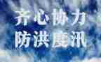 防洪的心得体会7篇