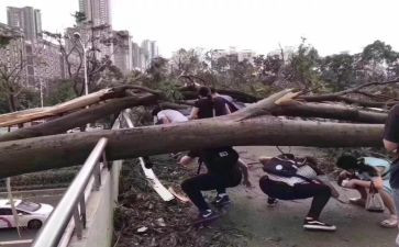 为做好防台工作总结6篇