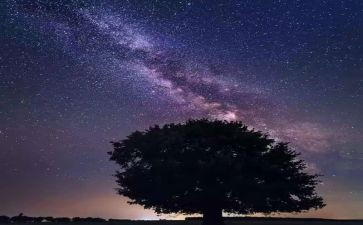 繁星春水春水的读后感优质8篇