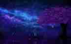 繁星春水读后感500字8篇