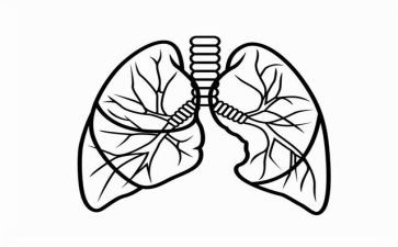 心与肺的心得体会作文优秀7篇