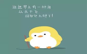 减肥心得体会8篇