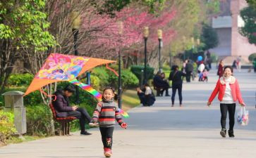 幼儿园风筝活动教案7篇