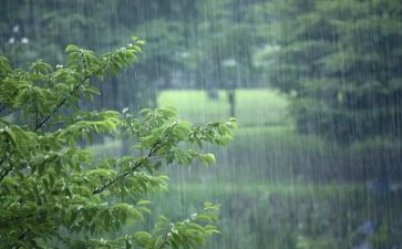 生活中的暴风雨作文6篇