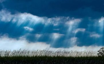 东风雨观后感最新8篇