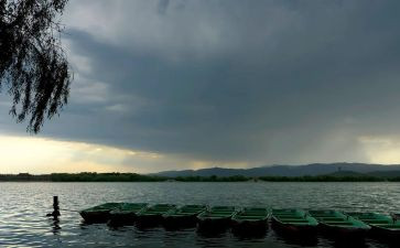 东风雨观后感通用5篇