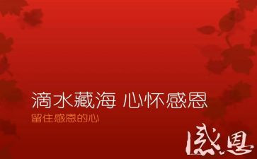 对老师感恩的演讲稿参考7篇