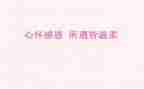 懂感恩的演讲稿范文参考8篇