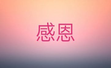 我最感激她作文精选6篇