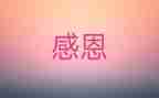 我最感激她作文精选6篇