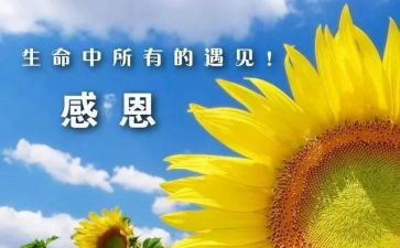 对老师的感谢作文优秀5篇
