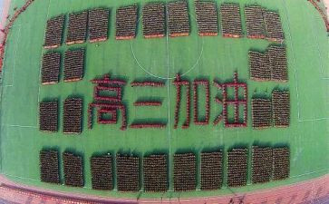 高三作文800字优秀作文7篇