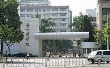 高校个人年度工作总结6篇