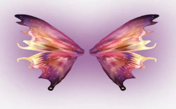 风的翅膀作文模板6篇